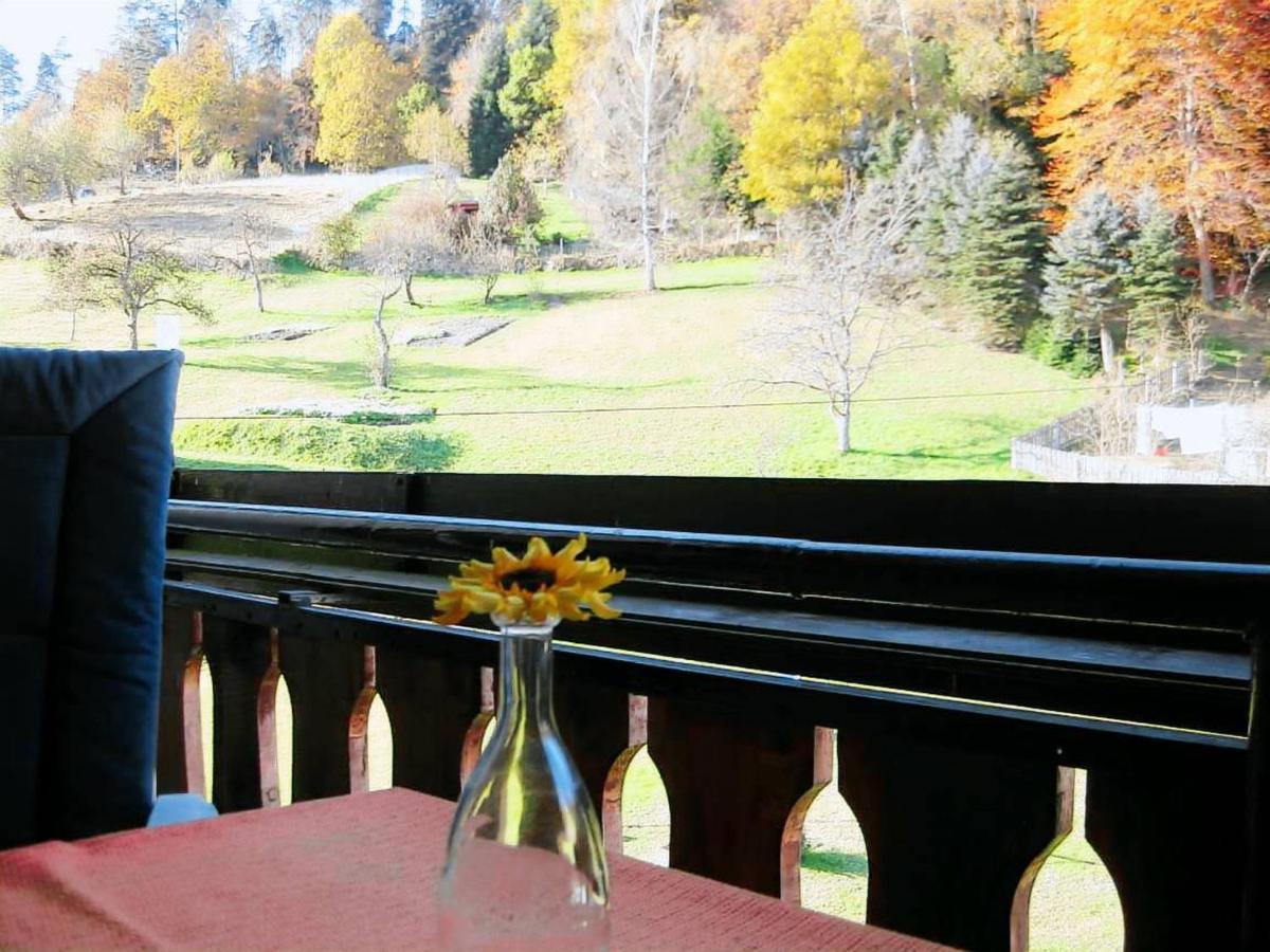 Haus Muehlgrund Leilighet Bad Wildbad Eksteriør bilde