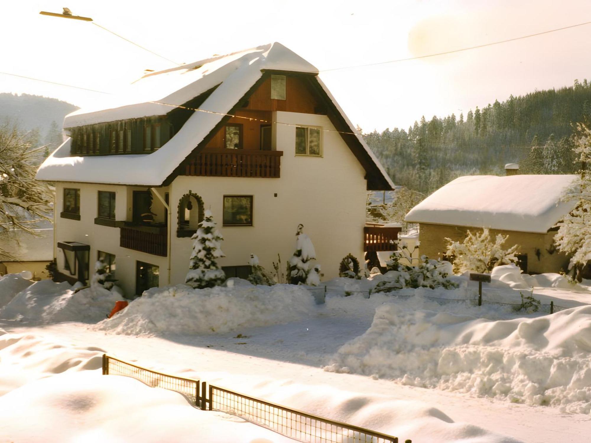 Haus Muehlgrund Leilighet Bad Wildbad Eksteriør bilde