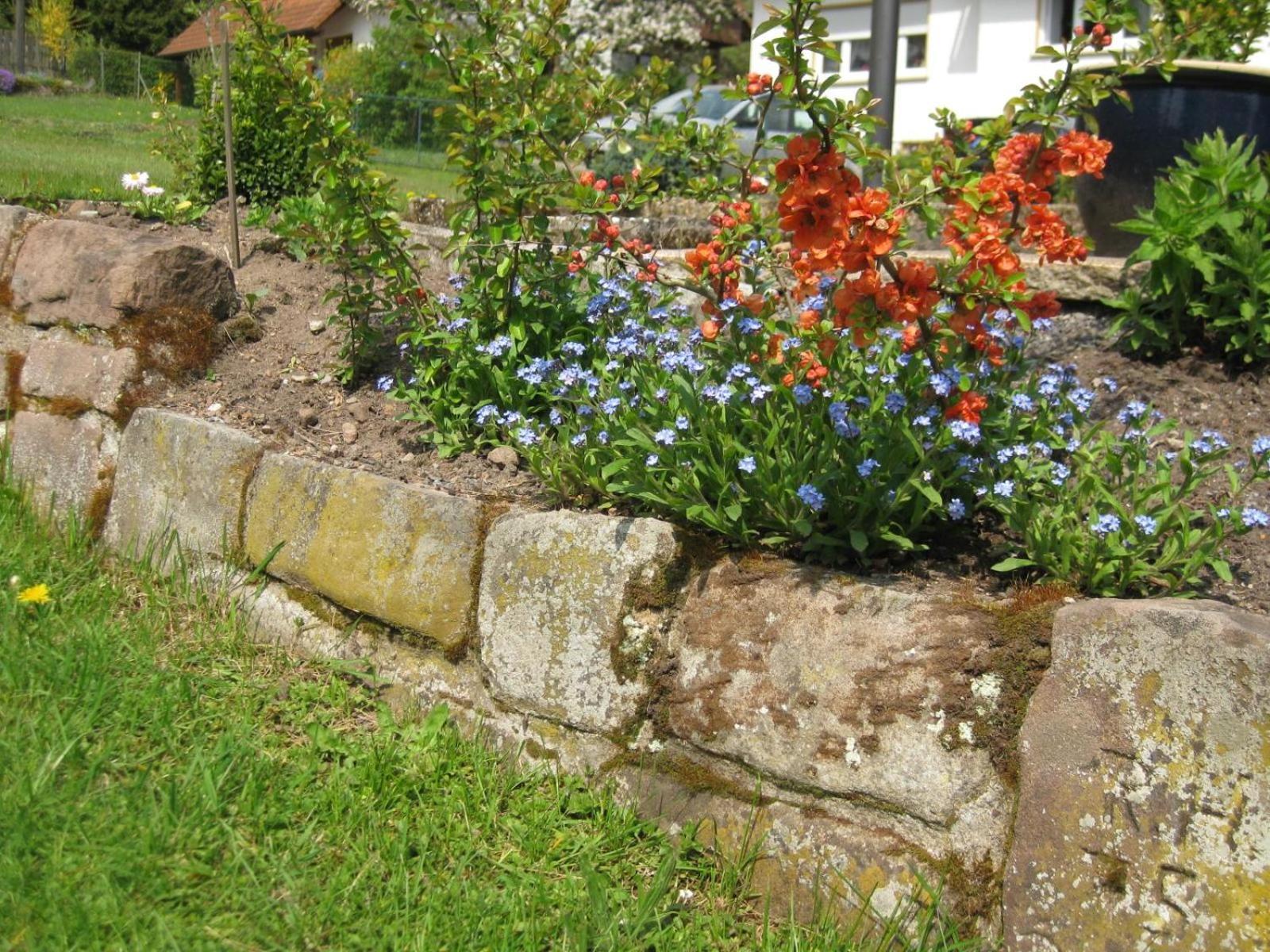 Haus Muehlgrund Leilighet Bad Wildbad Eksteriør bilde