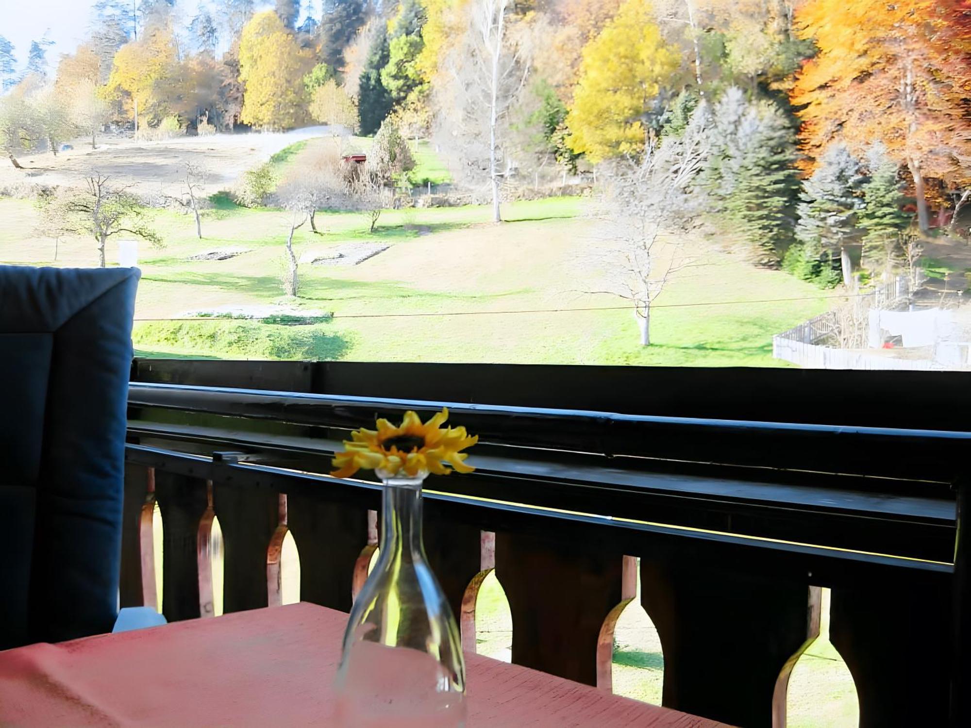 Haus Muehlgrund Leilighet Bad Wildbad Eksteriør bilde