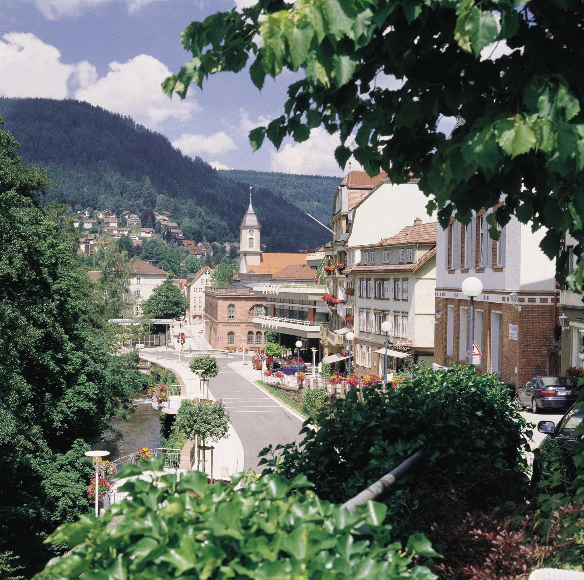 Haus Muehlgrund Leilighet Bad Wildbad Eksteriør bilde