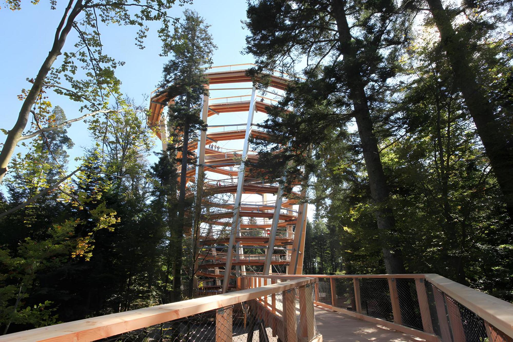 Haus Muehlgrund Leilighet Bad Wildbad Eksteriør bilde